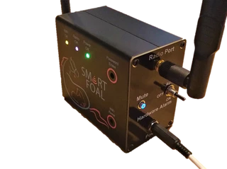 Welcome to Our Store